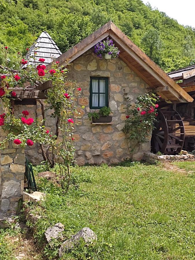 Rafting Camp Tara Center Tri Vodenice Bastasi 외부 사진