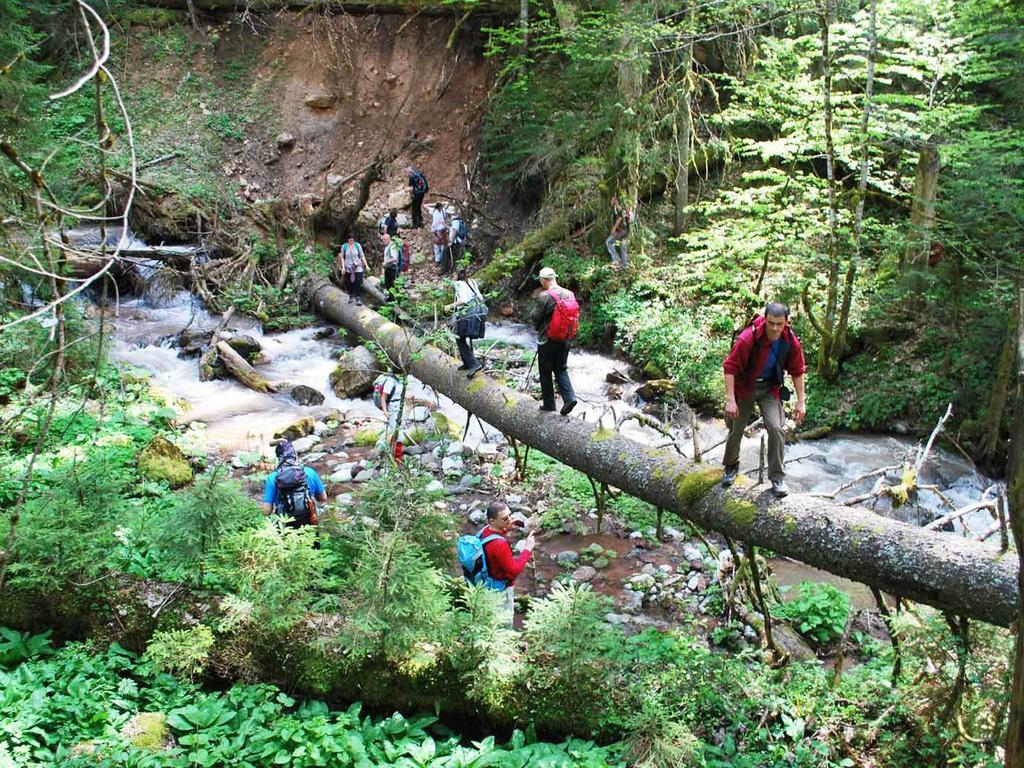 Rafting Camp Tara Center Tri Vodenice Bastasi 외부 사진